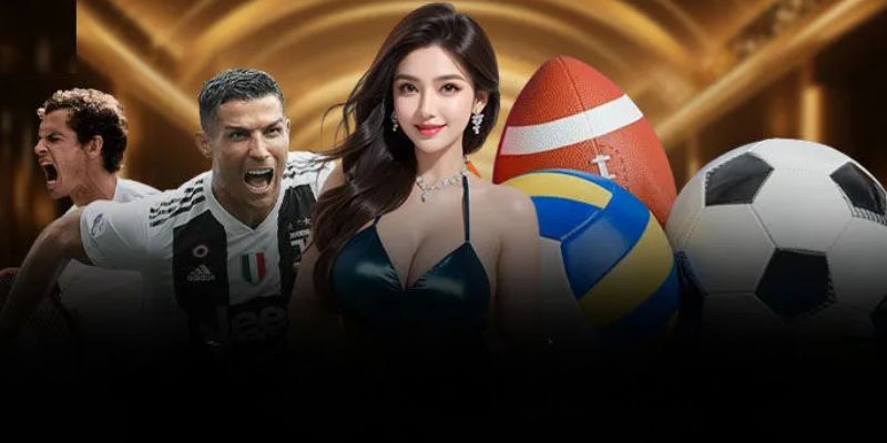 Thể Thao Sbobet - Cá Cược Với Những Trận Đấu Đỉnh Cao